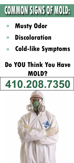 Columbia Mold Remediation Contractor